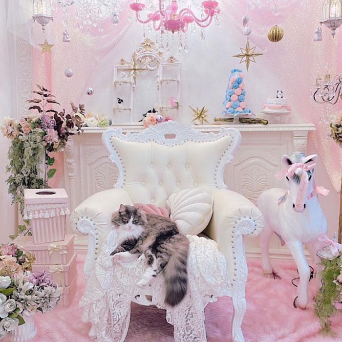 <大阪>ロイプリスタジオRoyalPrincessAlice【芦原橋駅】 - 画像 (2)