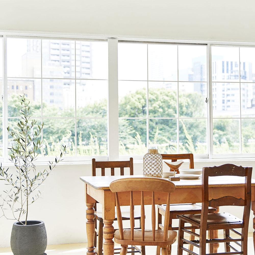 <大阪>Studio Tenjin Base(スタジオテンジンベース) 緑や河川<span class="price-others">おひとりの料金</span>【中之島】 - 画像 (2)