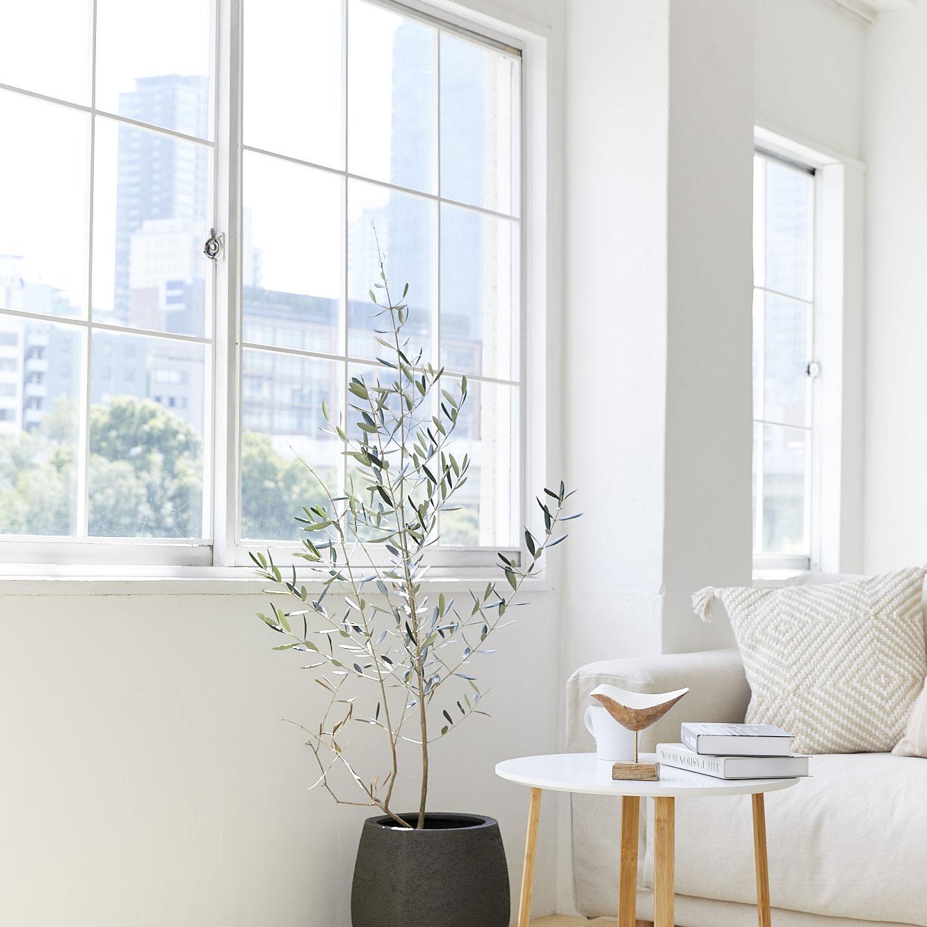 <大阪>Studio Tenjin Base(スタジオテンジンベース) 緑や河川<span class="price-others">おひとりの料金</span>【中之島】 - 画像 (3)