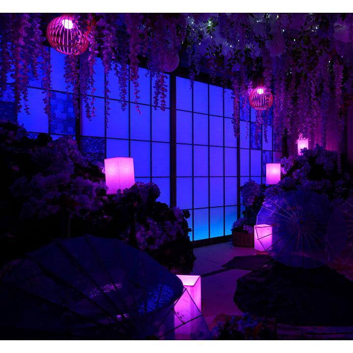 <大阪>創り込み系和室LAN【弁天町】 - 画像 (2)