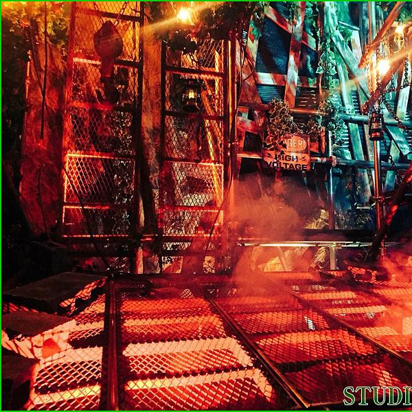 ＜東京＞STUDIO HAMSTER（スタジオハムスター） 4匹目！【要町駅】 - 画像 (3)