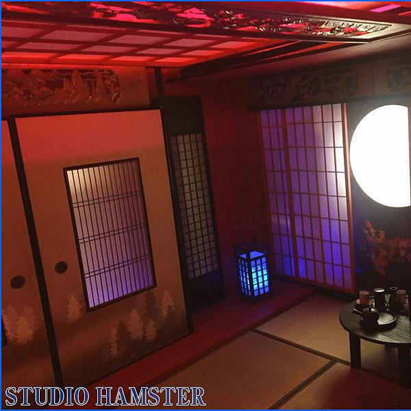 ＜東京＞STUDIO HAMSTER（スタジオハムスター）6匹目！【要町駅】
