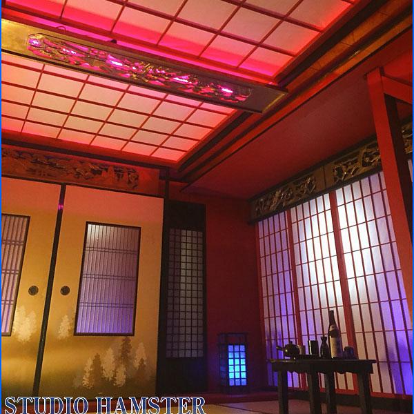 ＜東京＞STUDIO HAMSTER（スタジオハムスター）6匹目！【要町駅】 - 画像 (2)