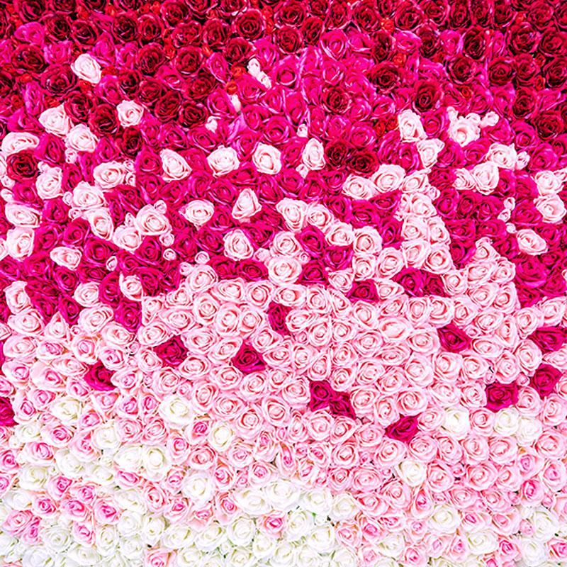 ＜東京＞Studio moor（スタジオ ムーア）薔薇・白ホリ【高円寺】 - 画像 (2)