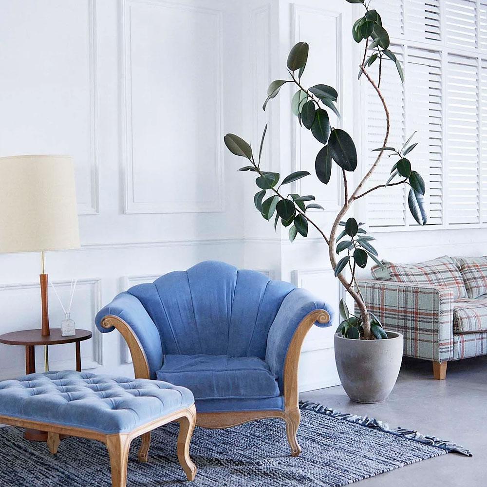 ＜東京＞BEIGE(ベージュ)　白基調　グリーンバック【後楽園駅】