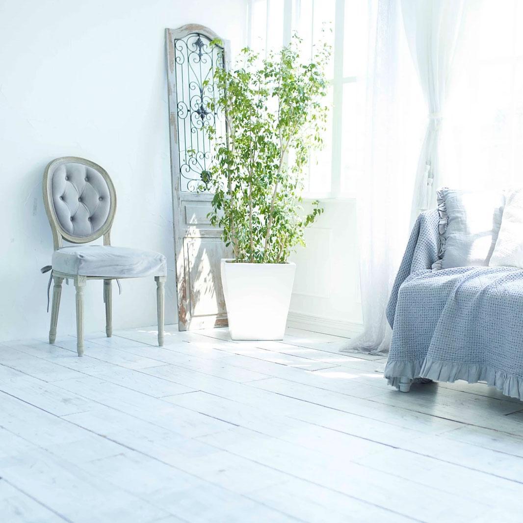 <東京>MOOD(ムード)3F 自然光 白アンティーク【大久保駅】