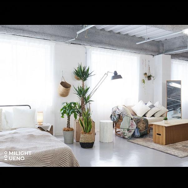 ＜東京＞MILIGHT UENO(ミライト 上野)自然光あふれる白壁【上野駅】