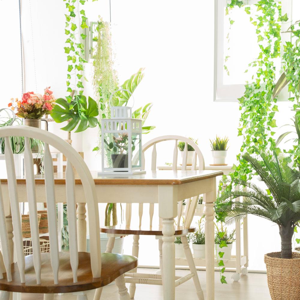 ＜東京＞フォトスタジオレッグ【下北沢駅】 - 画像 (2)