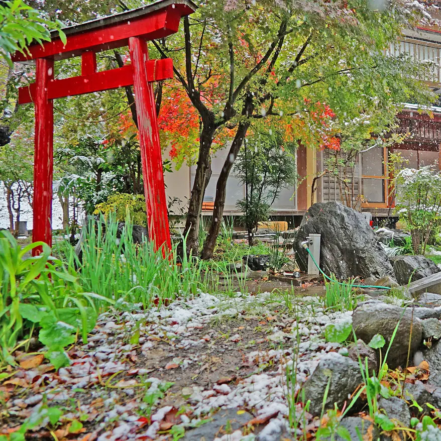 <神奈川>飯田屋 日本庭園のある古民家【藤が丘駅】 - 画像 (2)