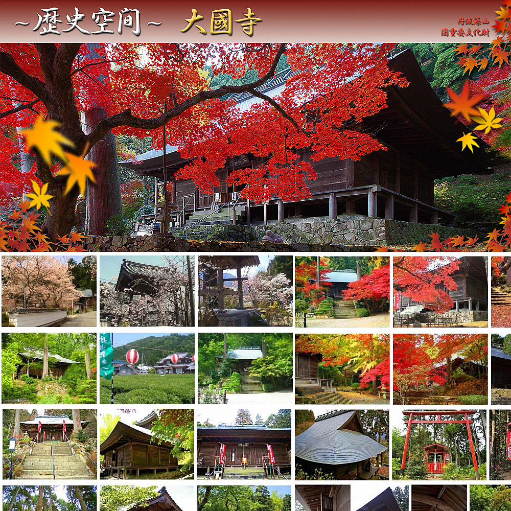 <兵庫県>歴史空間 大国寺 スモークマシン可【篠山口駅~タクシー5分】<span class="price-others">おひとり1時間のお値段</span>