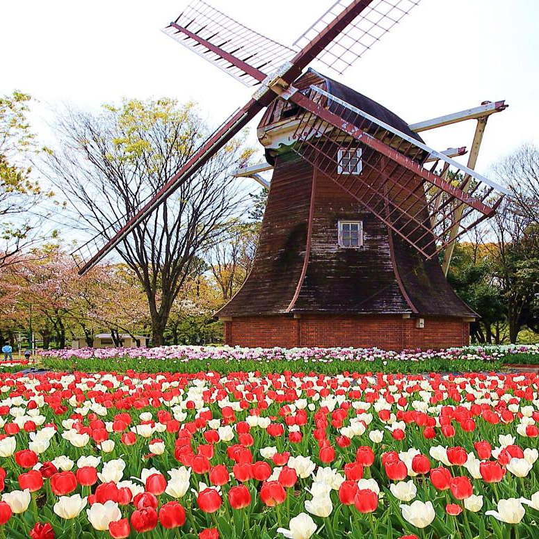 <愛知>名城公園/フラワープラザ【名古屋 名城公園駅】<span class="price-others">入場料無料</span>