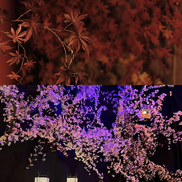 <岐阜>蓮スタシェア【大福町5丁目バス停】 - 画像 (2)