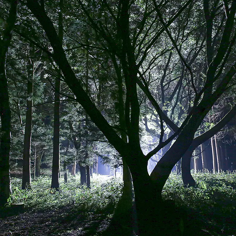 ＜山梨＞自然コスプレスタジオ鉱山のロケーション 貸切10名様【甲斐大泉駅】 - 画像 (3)