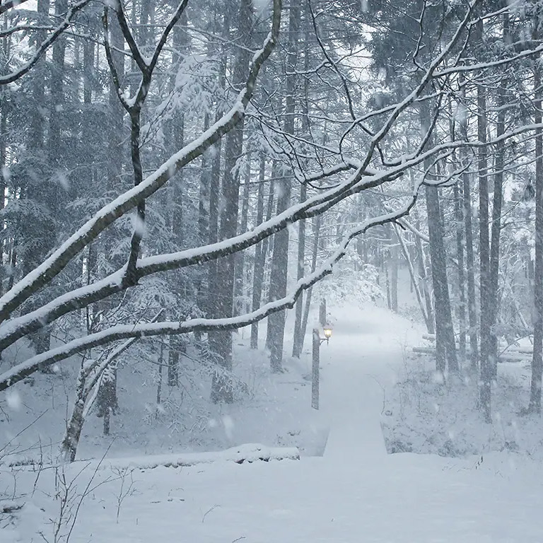 <山梨>自然コスプレスタジオ鉱山のロケーション 貸切10名様【甲斐大泉駅】 - 画像 (5)