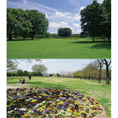 ＜愛知＞庄内緑地【名古屋 庄内緑地公園駅】<span class="price-others">入場料無料</span> - 画像 (2)