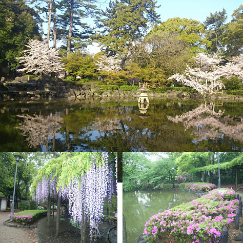 ＜愛知＞中村公園【名古屋 中村公園駅】<span class="price-others">入場料無料</span>