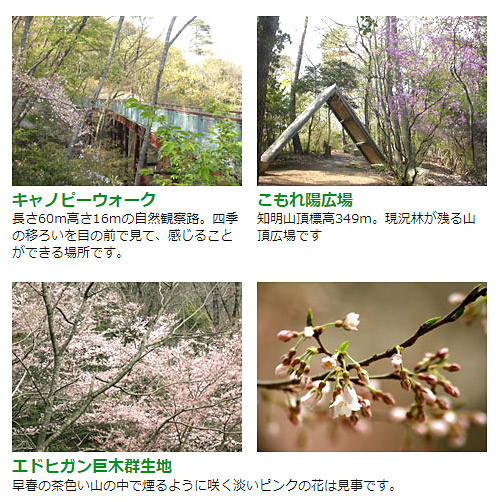 <兵庫>一庫公園【長原バス停】<span class="price-others">入場料無料</span> - 画像 (2)