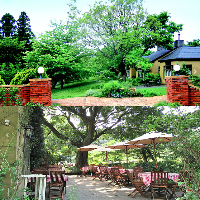 <千葉>ドリプレ・ローズガーデン【君津インター】