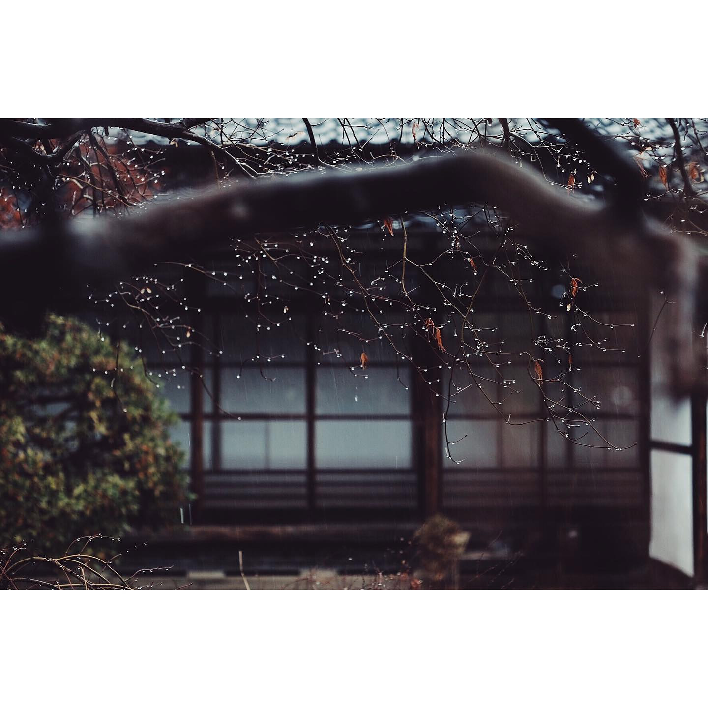 <埼玉>Fululu古民家山岸邸-飯能の家-【平沼郵便局前バス停】<span class="price-others">おひとり1時間の料金</span> - 画像 (4)