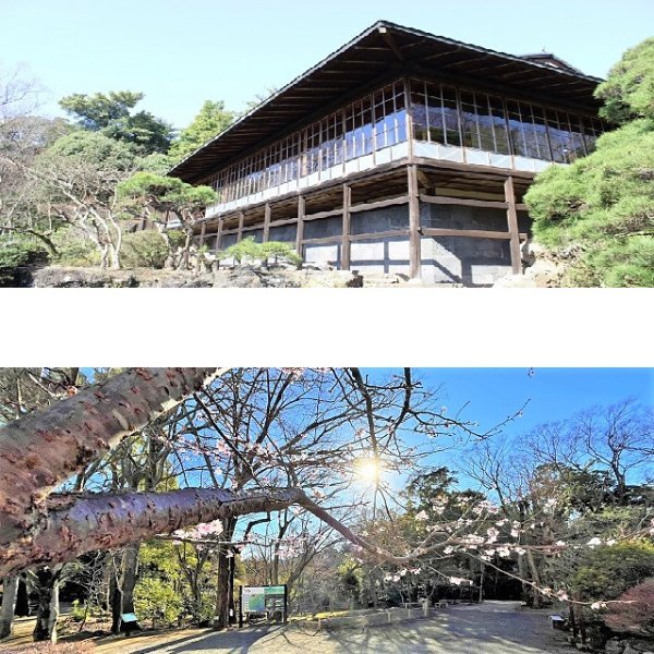 <静岡>三島市立公園 楽寿園【三島駅】<span class="price-others">おひとりの入場料</span>