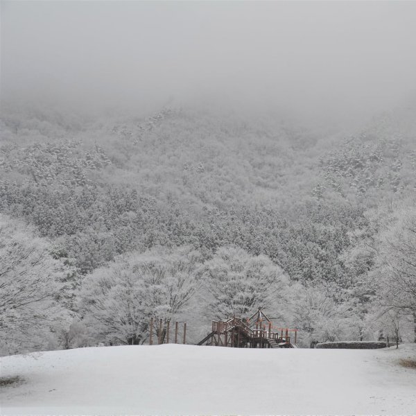 <栃木>ホビーの里 箱の森プレイパーク【塩原温泉バスターミナル】<span class="price-others">ひと部屋の宿泊料</span>