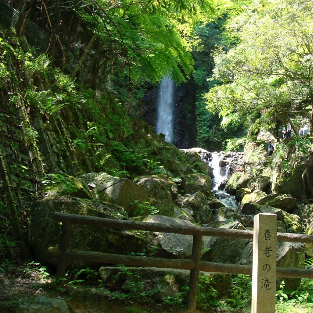 ＜岐阜＞養老の滝(要申請)【養老駅】<span class="price-others">無料エリア</span>