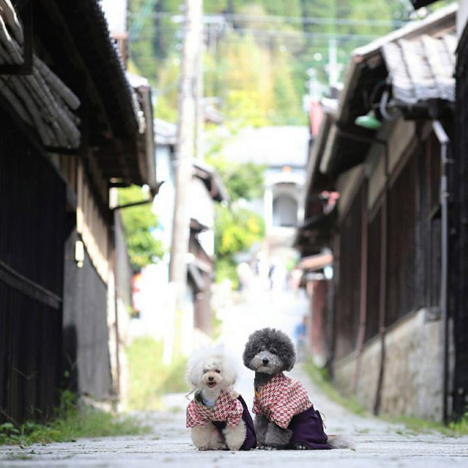 <岐阜>日本大正村【明智駅】<span class="price-others">おひとりの入場料</span>