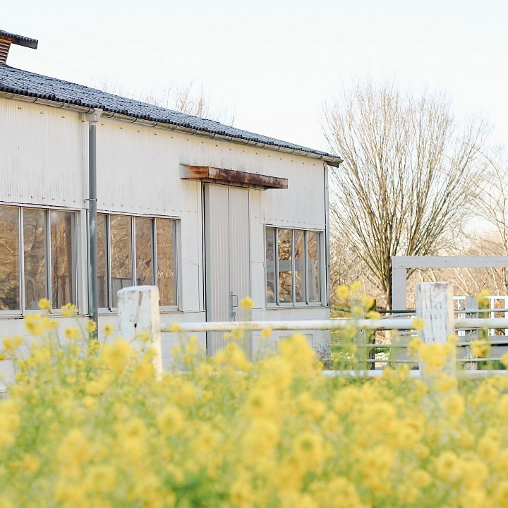 ＜千葉＞成田ゆめ牧場【滑河駅より送迎バス】<span class="price-others">おひとりの入場料</span>