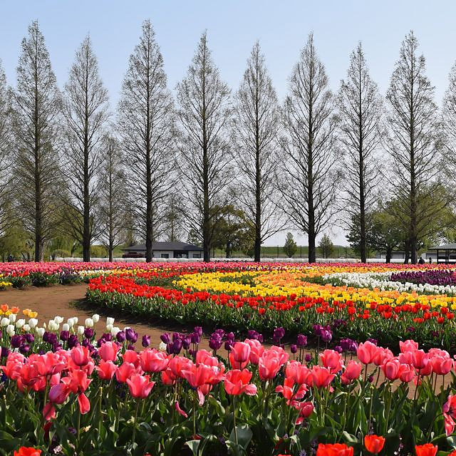 ＜福島＞ワンダーファーム 【旅館こいと近隣】<span class="price-others">入場料無料</span>