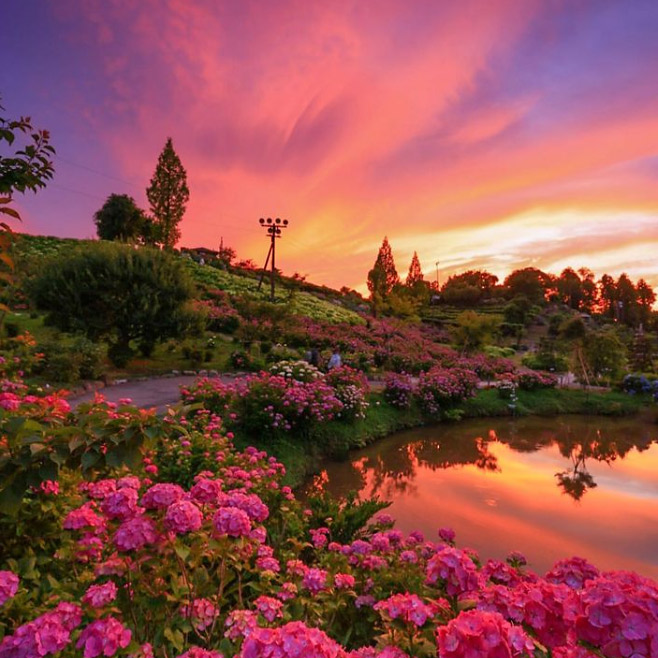 ＜奈良＞自然の風景[要申請]<span class="price-others">入場料無料</span>