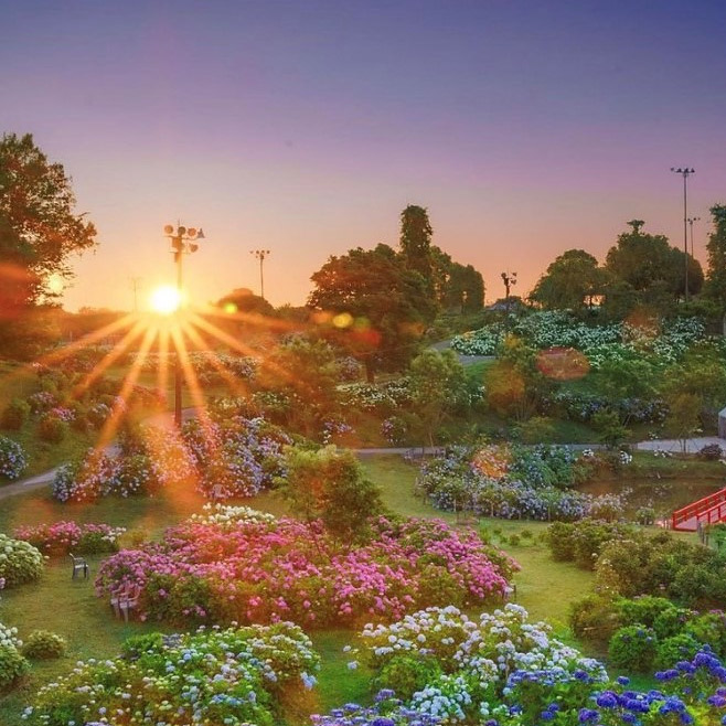 ＜奈良＞自然の風景[要申請]<span class="price-others">入場料無料</span> - 画像 (2)