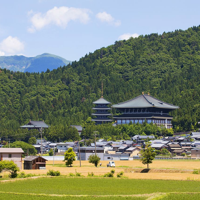 ＜福井＞大師山清大寺【越前大仏前バス停】<span class="price-others">おひとりの参拝料</span> - 画像 (2)