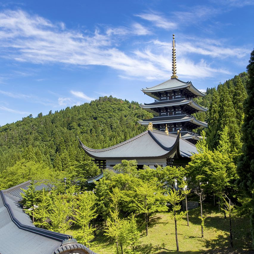 ＜福井＞大師山清大寺【越前大仏前バス停】<span class="price-others">おひとりの参拝料</span> - 画像 (3)
