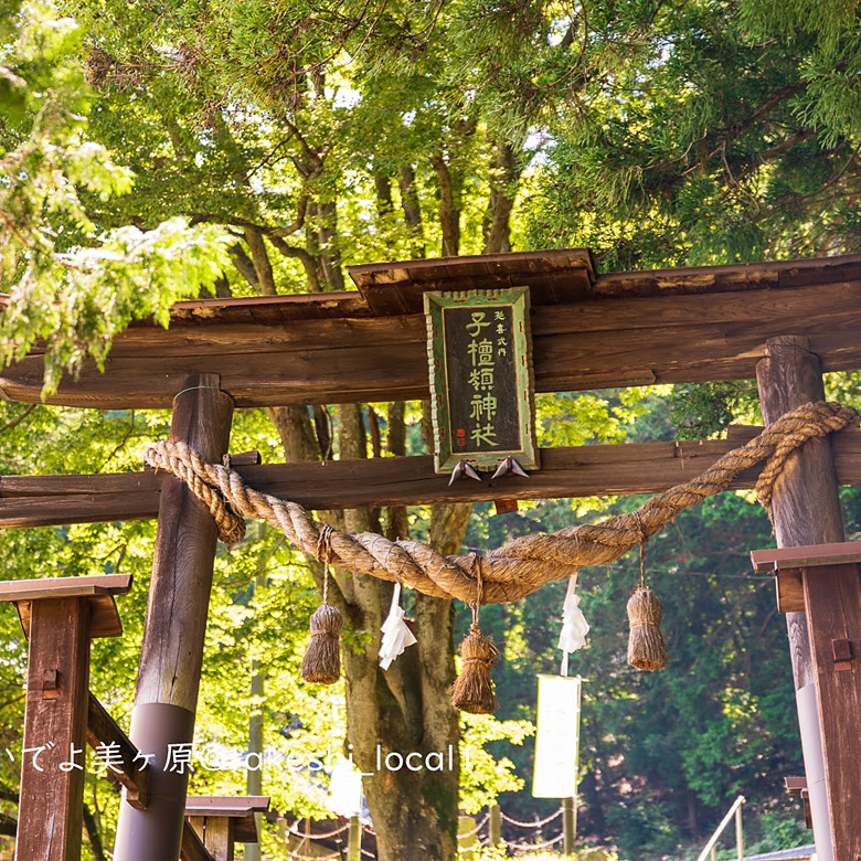 <長野>美ヶ原 炎撮影可能【上田駅】<span class="price-others">施設料</span> - 画像 (5)