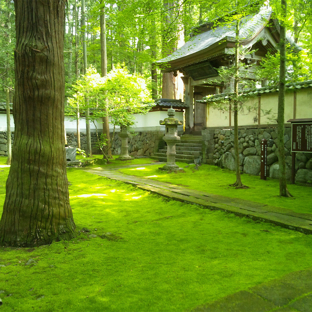 ＜長野＞貞祥寺【中込駅】
