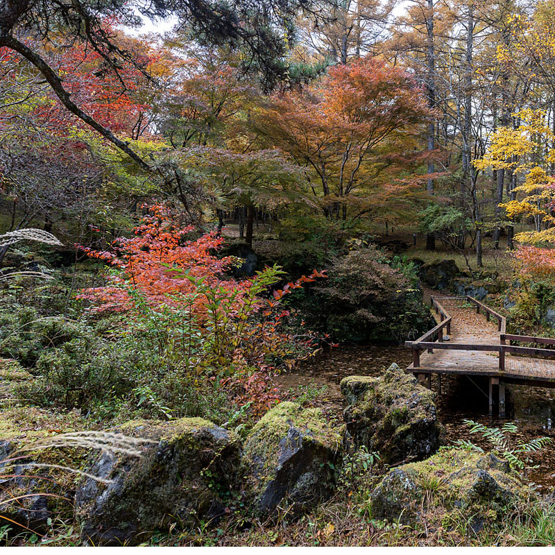 ＜山梨＞文学の森公園 三島由紀夫文学館【バス文学の森公園前】<span class="price-others">おひとりの更衣室料金</span> - 画像 (2)
