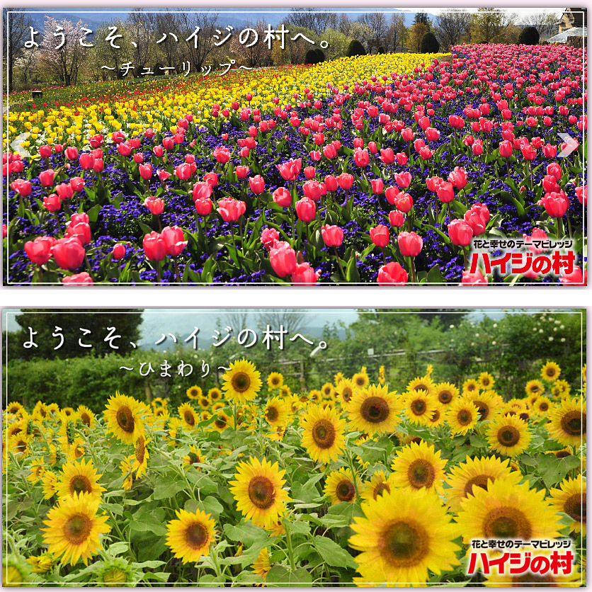 ＜山梨＞フラワーセンター ハイジの村【茅ヶ岳・みずがき田園バスで30分】<span class="price-others">おひとりの入場料</span>