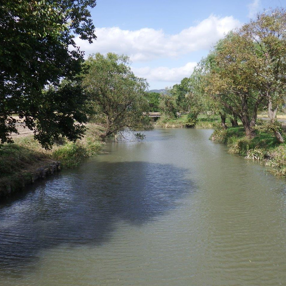 <佐賀>ひょうたん島公園ひまわり畑【佐賀駅】<span class="price-others">入場料無料</span>