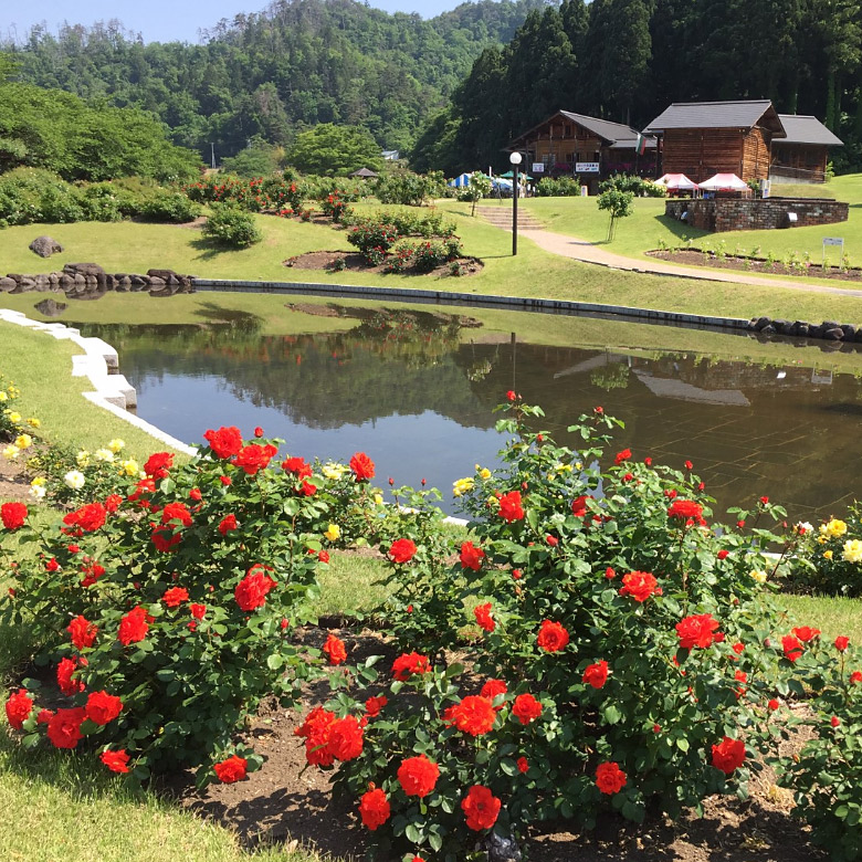 <山形>東沢バラ公園【村山駅】<span class="price-others">おひとりの入場料</span>