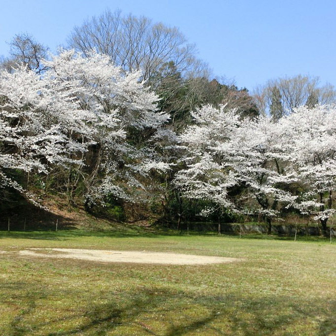 ＜福島＞観音山 【旅館こいと近隣】<span class="price-others">入場料無料</span>