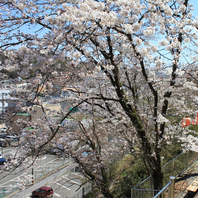 ＜福島＞御幸山公園 【旅館こいと近隣】<span class="price-others">入場料無料</span> - 画像 (2)