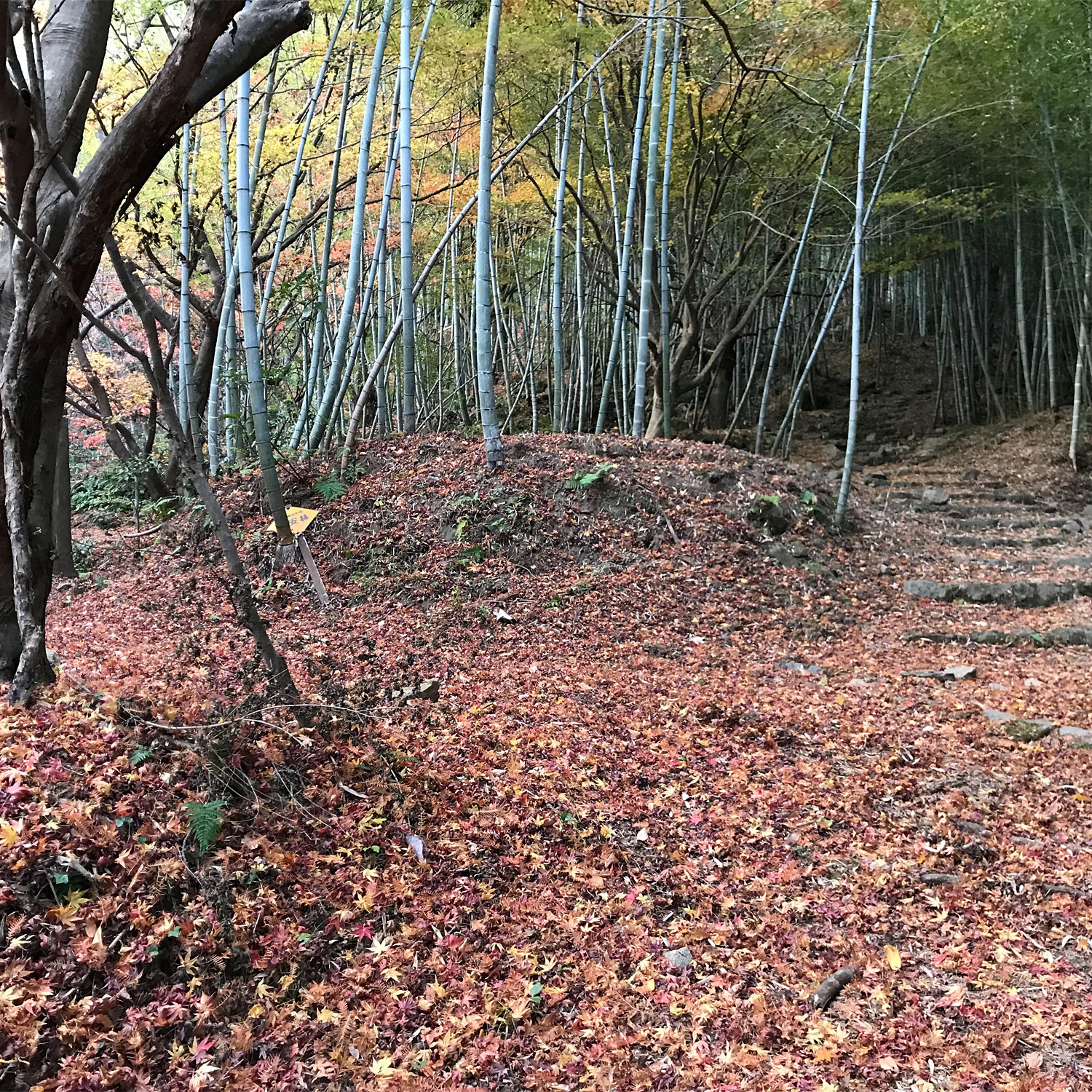 ＜福島＞青葉虚空蔵尊 【旅館こいと近隣】<span class="price-others">入場料無料</span>