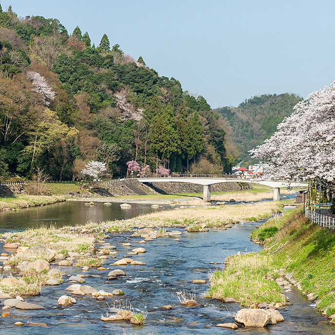 ＜鳥取＞かじか橋【温泉入口バス停】