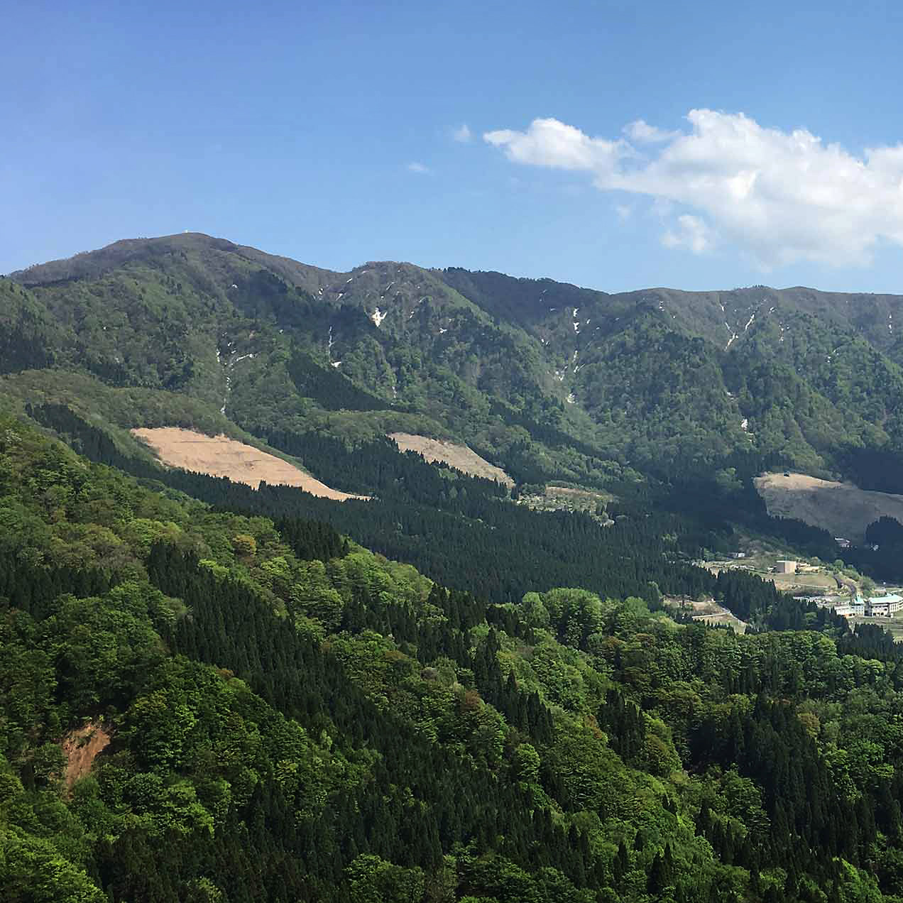 ＜鳥取＞氷ノ山自然ふれあい館 響の森【若桜駅】 - 画像 (2)
