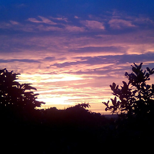 <千葉>ラスティックリゾートいすみ area B Villa&BAR【長者町駅】 - 画像 (2)