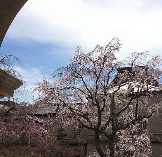 <京都>京都府庁旧本館 (旧本館中庭)【丸太町駅】