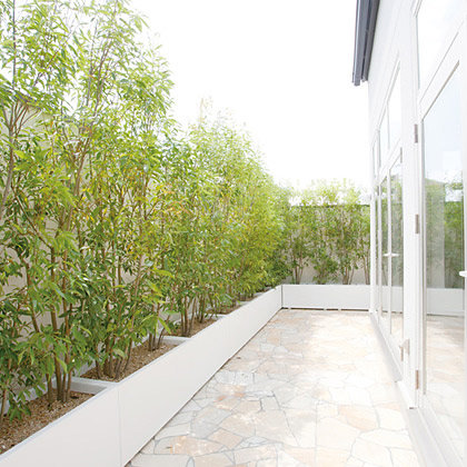 ＜京都＞1STOP STUDIO ハウススタジオ【四条駅】 - 画像 (3)