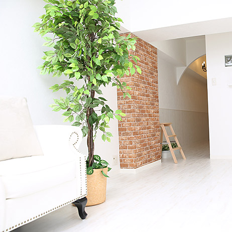 ＜福岡＞PHOTO STUDIO FAVORI【JR博多駅】