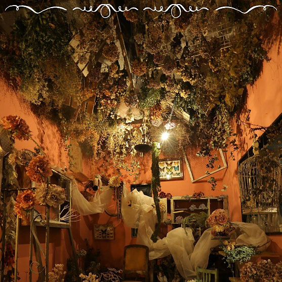 ＜福岡＞FLOWER JAM【福間駅】