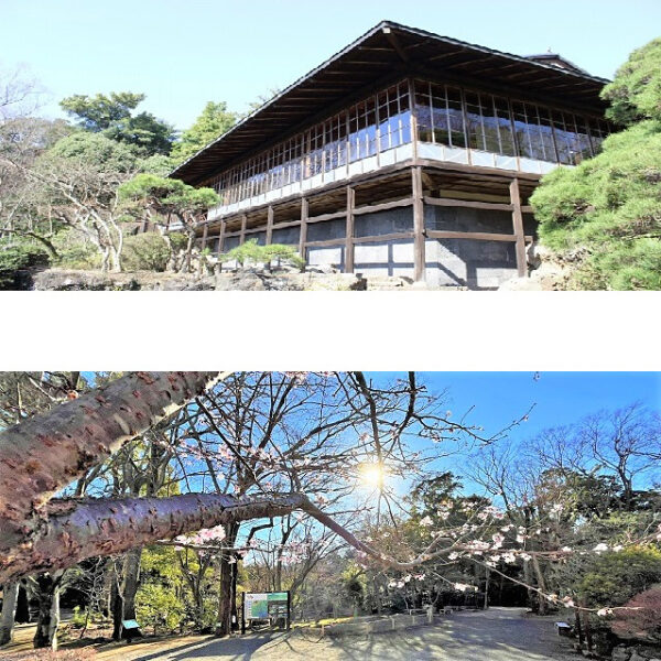 ＜静岡＞三島市立公園 楽寿園【三島駅】<span class="price-others">おひとりの入場料</span>